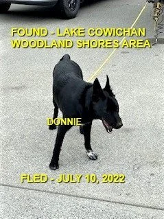 HAPPY ENDINGS - LAKE COWICHAN BC / JULY 10, 2022