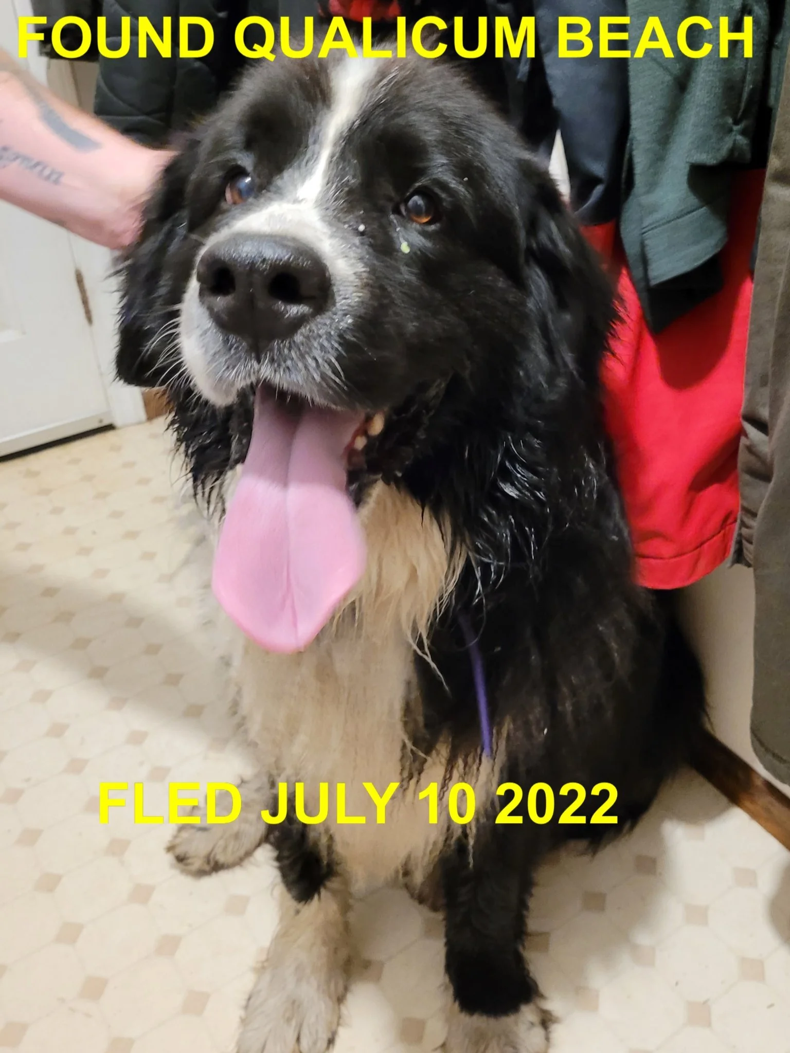 HAPPY ENDINGS - QUALICUM BEACH BC. / JULY 9, 2022