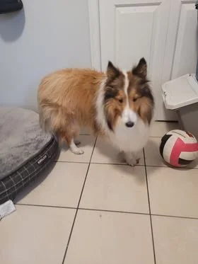 HAPPY ENDINGS - LANGFORD BC. / JULY 9, 2022