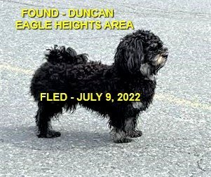 HAPPY ENDINGS - DUNCAN BC. / JULY 9, 2022