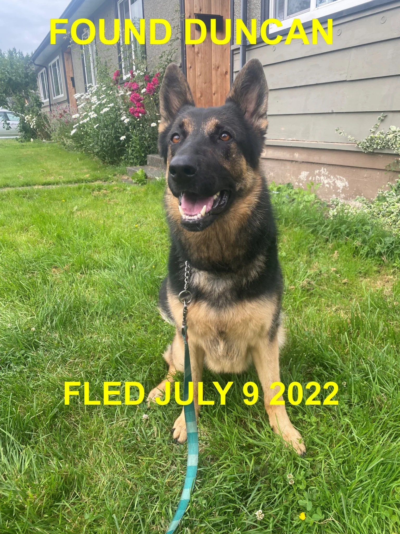 HAPPY ENDINGS - DUNCAN BC / FINN / JULY 10, 2022