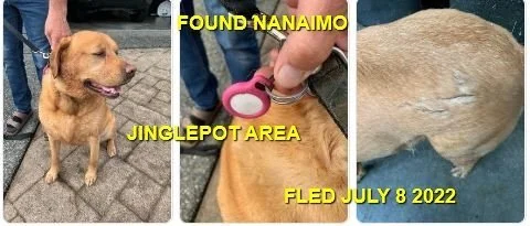 HAPPY ENDINGS (GPS) - NANAIMO BC. / JULY 8, 2022