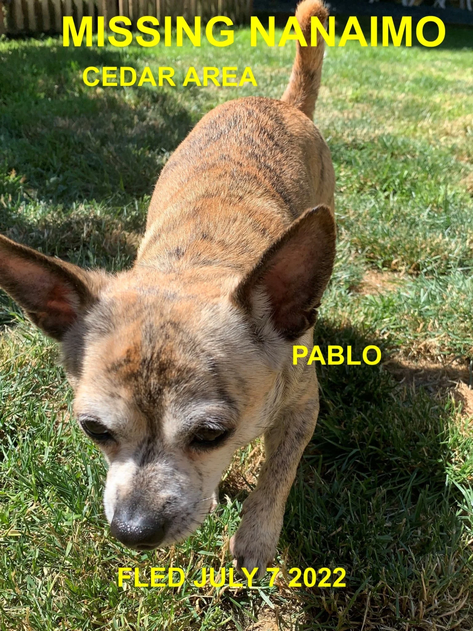 HAPPY ENDINGS - NANAIMO BC. / PABLO / JULY 7, 2022