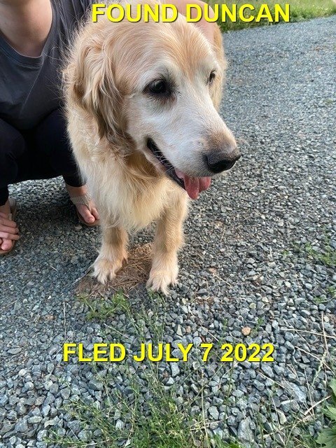 GONE TO SHELTER / HAPPY ENDINGS - DUNCAN BC. / JULY 7, 2022