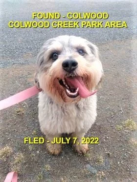 HAPPY ENDINGS - COLWOOD BC. / JULY 7, 2022