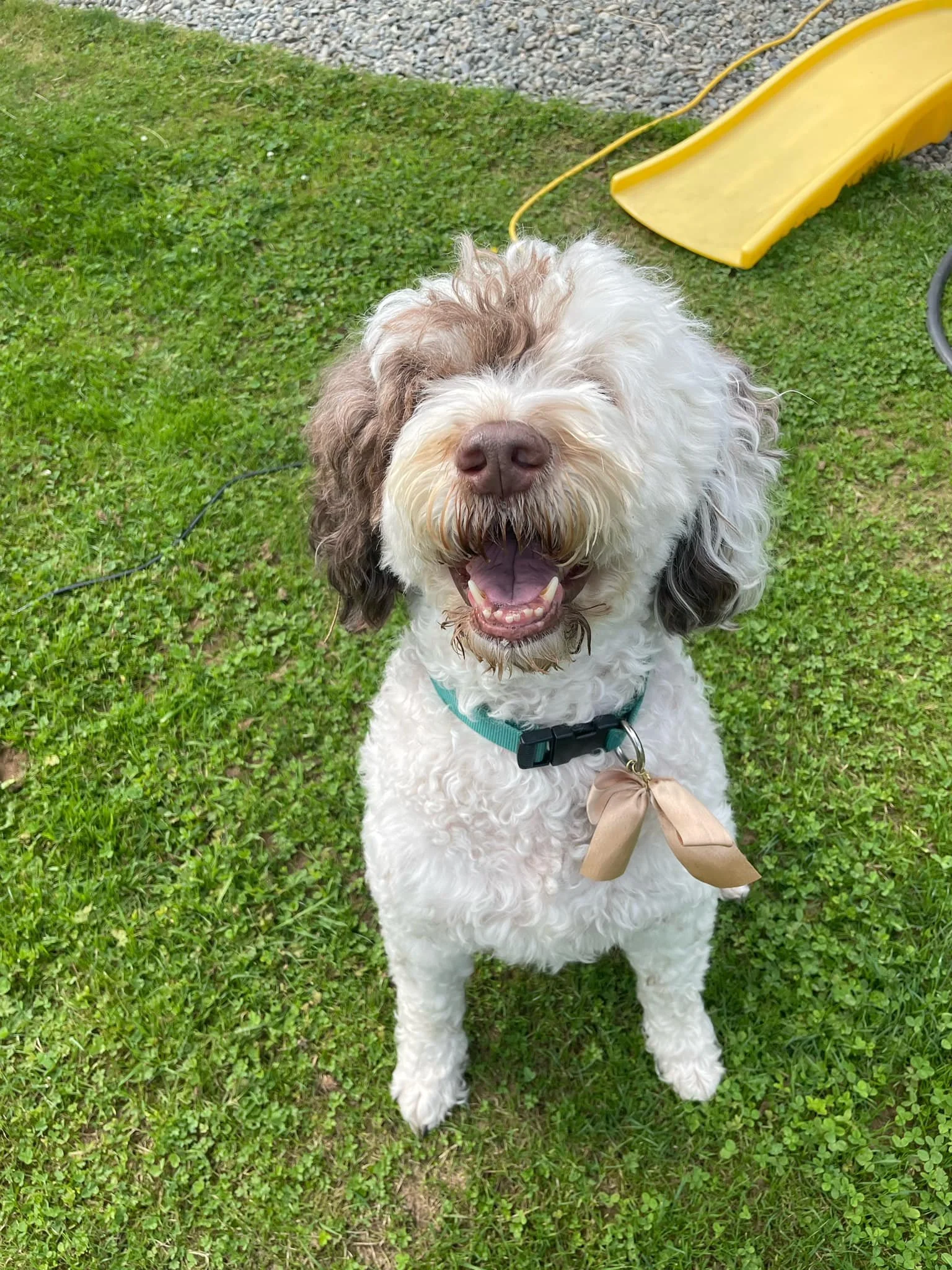 HAPPY ENDINGS - DUNCAN BC. / JULY 7, 2022