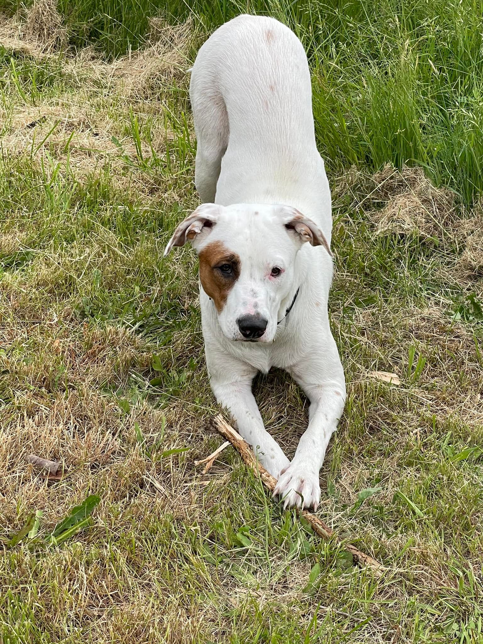 HAPPY ENDINGS - NANAIMO BC. / JADE / JULY 7, 2022