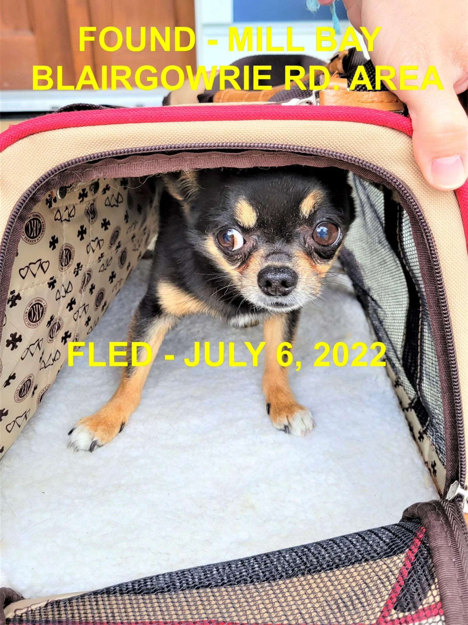 HAPPY ENDINGS - MILL BAY BC. / JULY 6, 2022