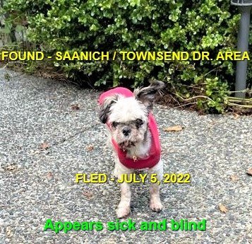 HAPPY ENDINGS - SAANICH BC. / JULY 5, 2022