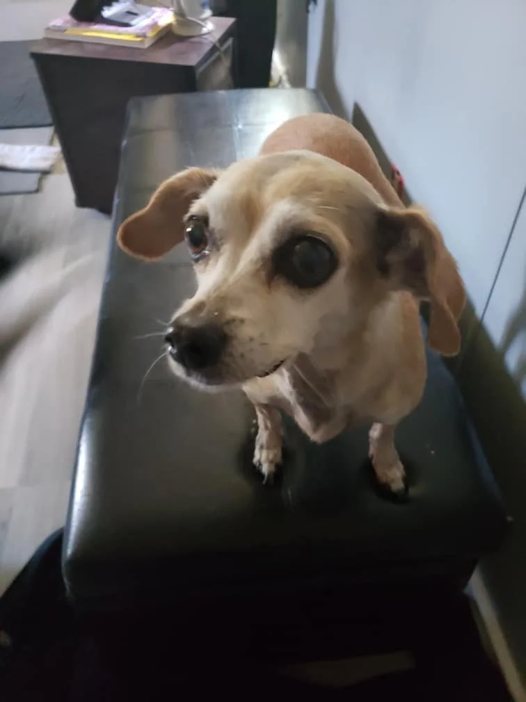 HAPPY ENDINGS - VIEW ROYAL BC. / JULY 5, 2022