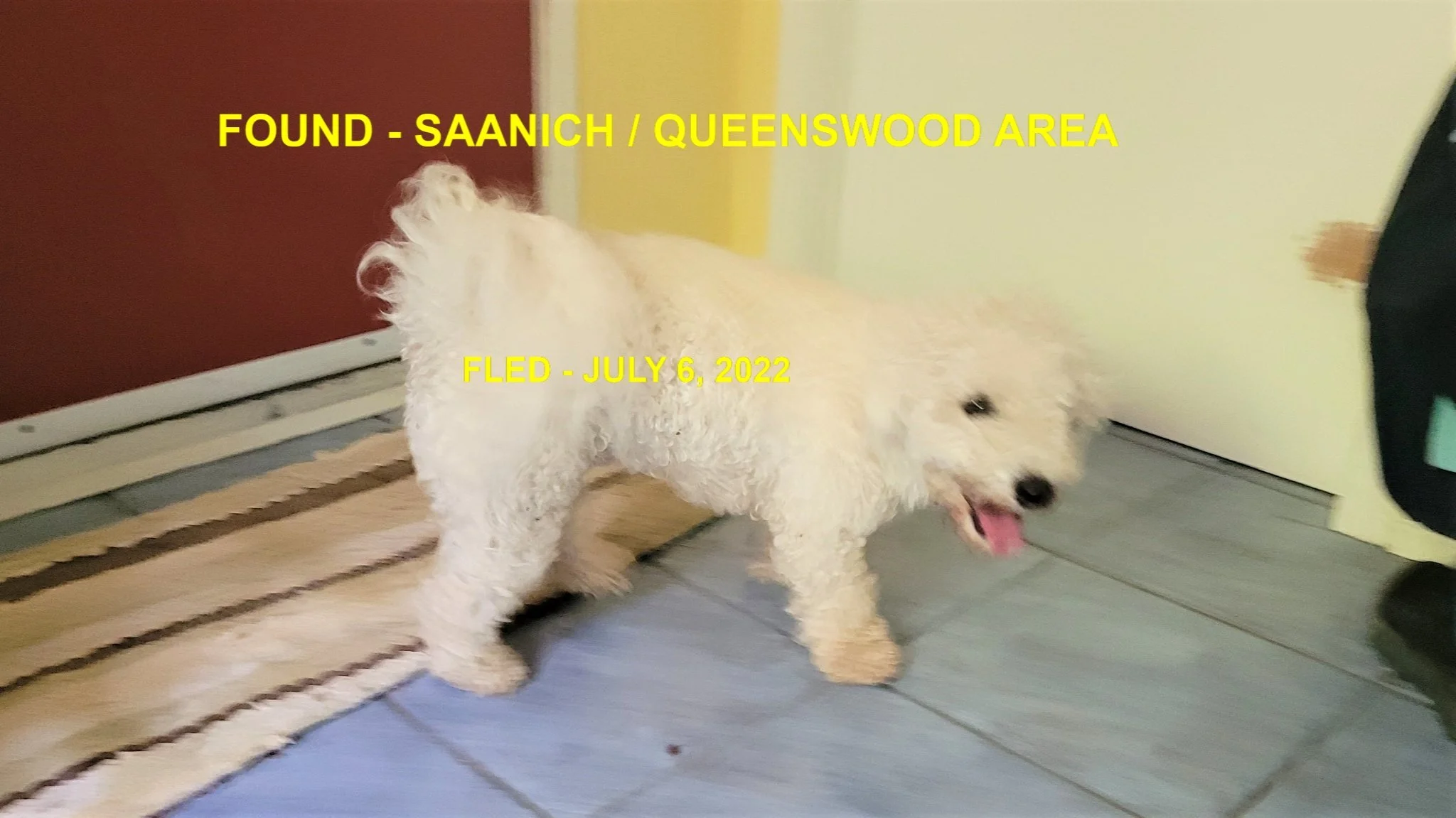 HAPPY ENDINGS - SAANICH BC. / JULY 6, 2022