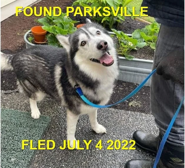 HAPPY ENDINGS - PARKSVILLE BC. / JULY 4, 2022