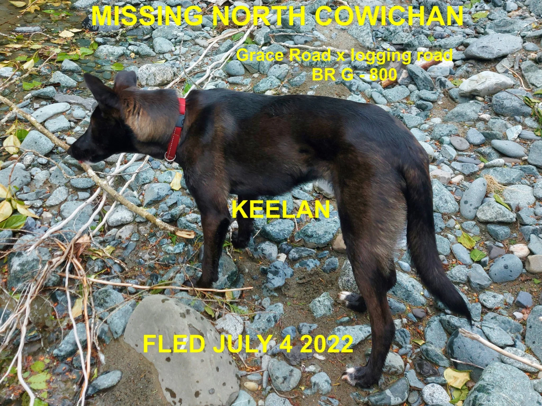 HAPPY ENDINGS -N. COWICHAN BC. / KEELAN / JULY 4, 2022