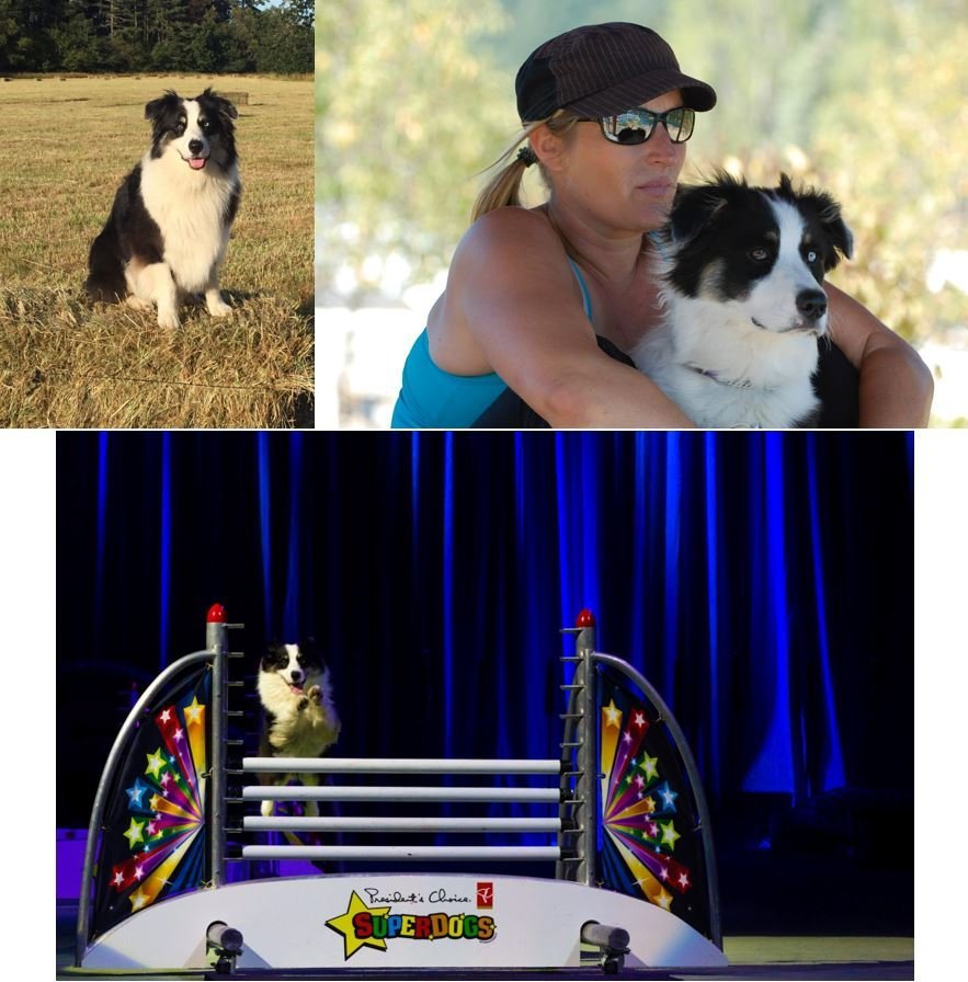 OVER THE RAINBOW BRIDGE - PART OF OUR FLED TEAM - JULY 2, 2022