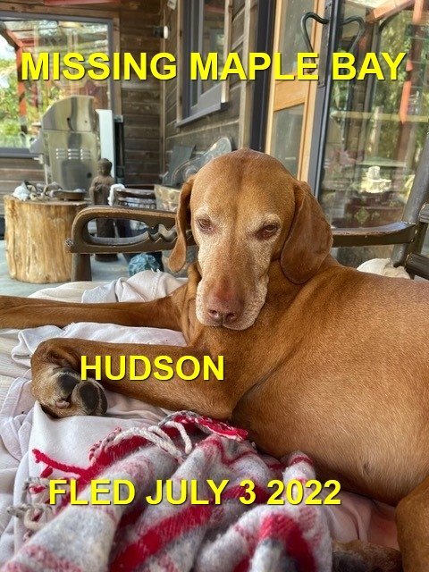 HAPPY ENDINGS - DUNCAN BC. / HUDSON / JULY 3, 2022