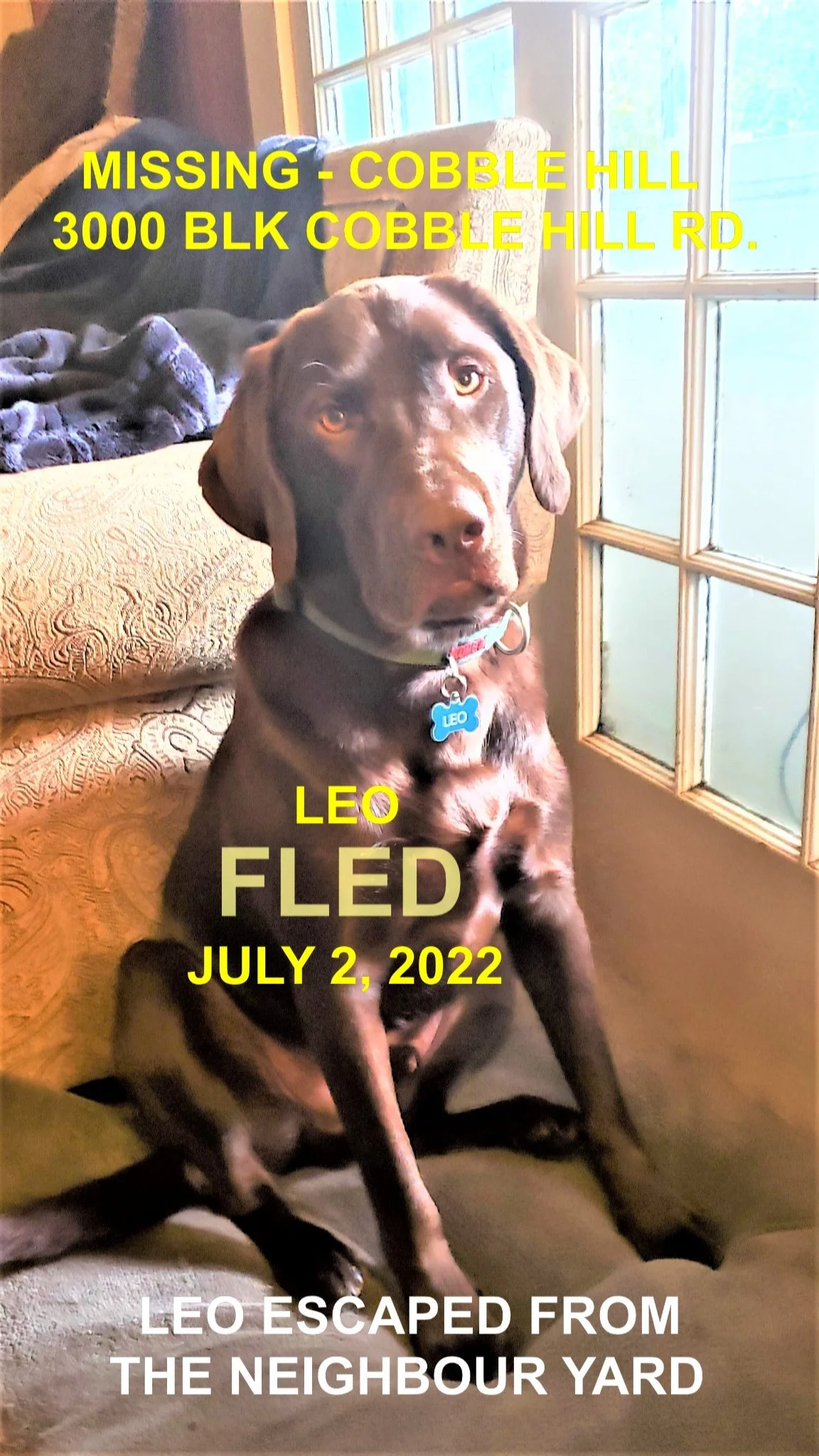 HAPPY ENDINGS - WENT HOME - COBBLE HILL BC. / LEO / JULY 2, 2022