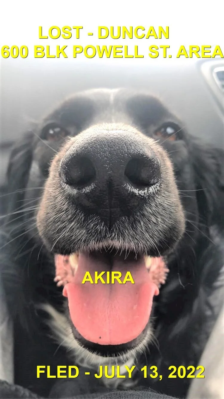 HAPPY ENDINGS - DUNCAN BC./ AKIRA / JULY 13, 2022