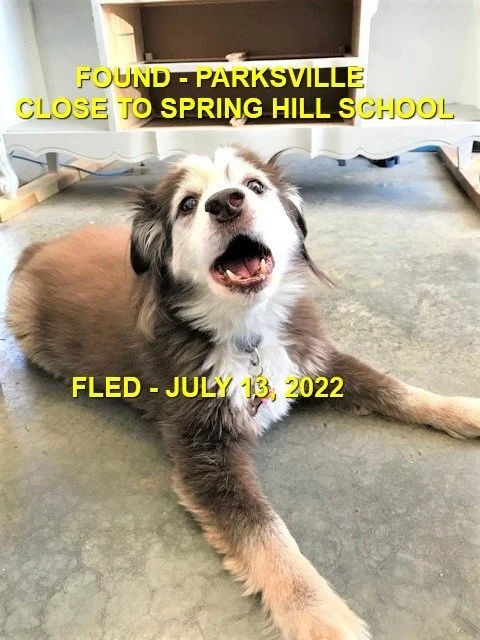 HAPPY ENDINGS - PARKSVILLE BC. / JULY 13, 2022