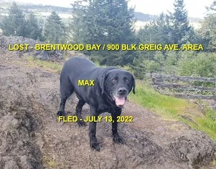 HAPPY ENDINGS - BRENTWOOD BAY BC. / MAX / JULY 13, 2022