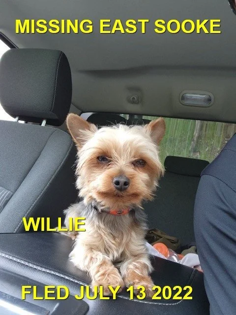 HAPPY ENDINGS - SOOKE BC. / WILLIE / JULY 13, 2022