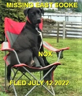 HAPPY ENDINGS - E. SOOKE BC. / NOX / JULY 12, 2022