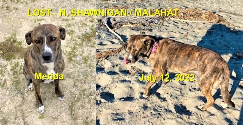 HAPPY ENDINGS - S. SHAWNIGAN BC. / MERIDA / JULY 12, 2022