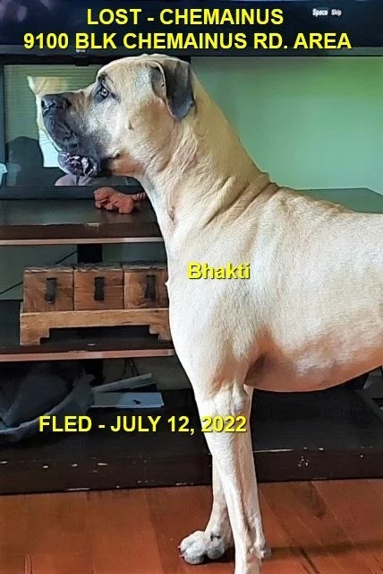 HAPPY ENDINGS - CHEMAINUS BC. / BHAKTI / JULY 12, 2022