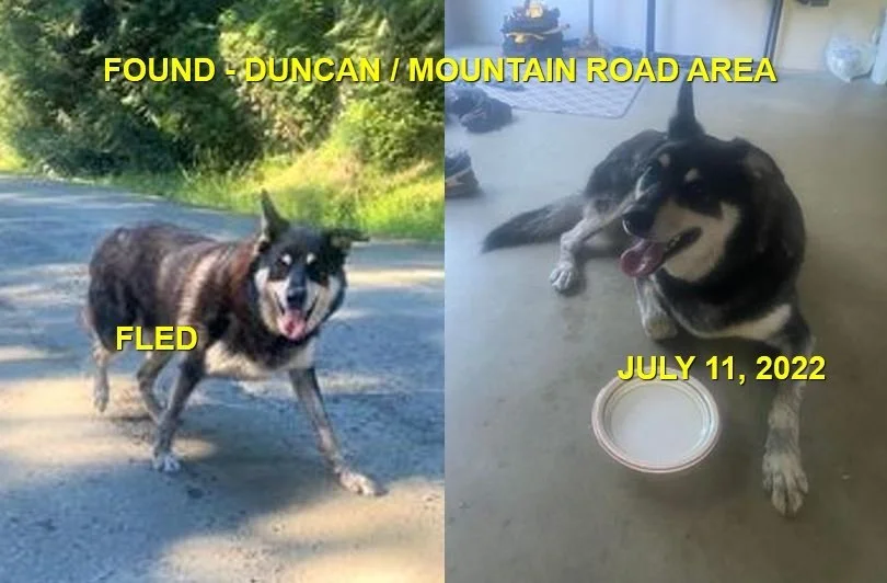 GONE TO SHELTER / HAPPY ENDINGS - DUNCAN BC. / JULY 11, 2022
