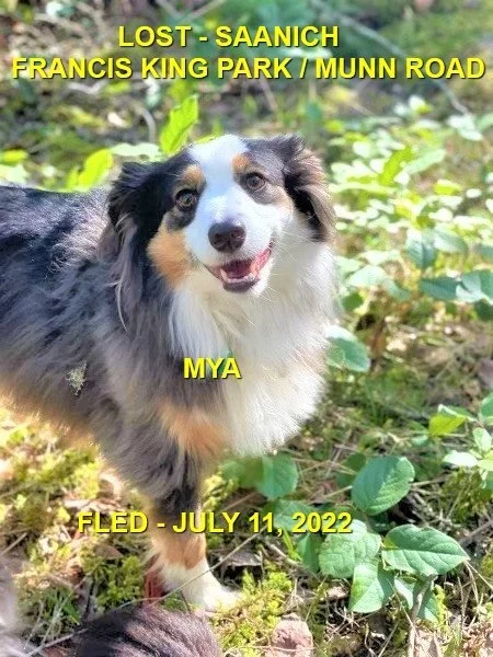 HAPPY ENDINGS - SAANICH BC / MYA / JULY 11, 2022