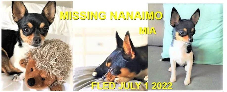 HAPPY ENDINGS - NANAIMO BC. / MIA / JULY 1, 2022