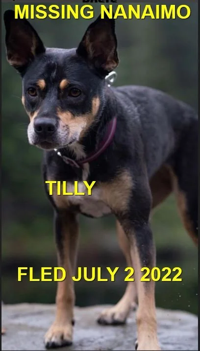 HAPPY ENDINGS - NANAIMO BC. / TILLY / JULY 1, 2022