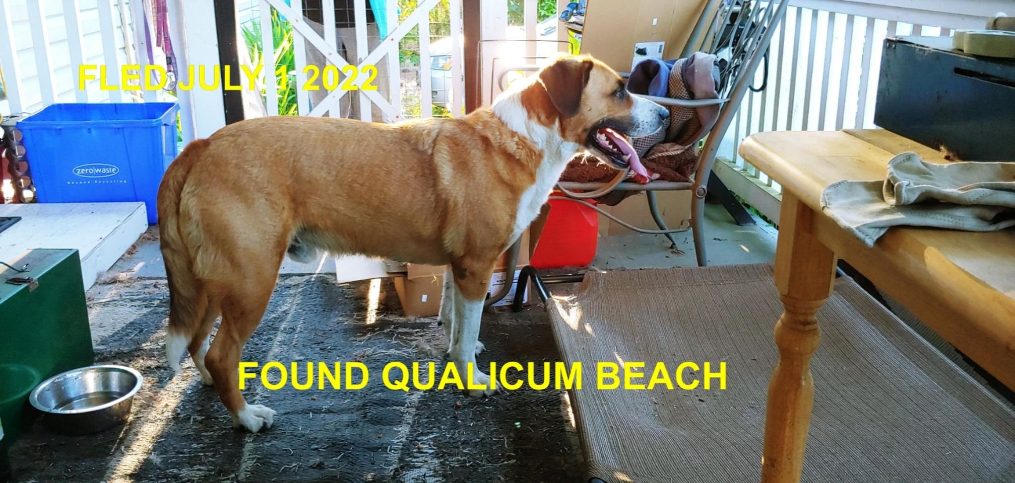 HAPPY ENDINGS - QUALICUM BEACH BC. / COPPER / JULY 1, 2022