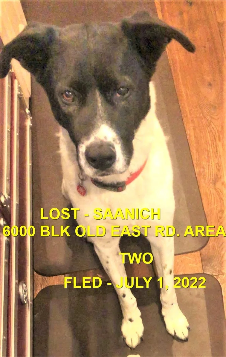 HAPPY ENDINGS - SAANICH BC. / TWO / JULY 1, 2022