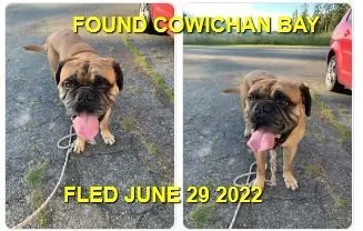 HAPPY ENDINGS - COWICHAN BAY BC. / JUNE 29, 2022