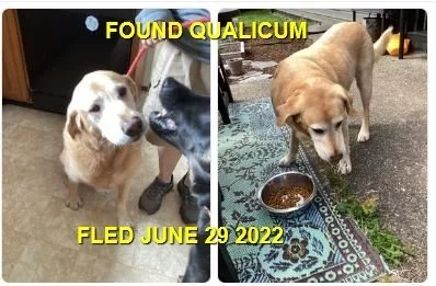 HAPPY ENDINGS - QUALICUM BC. / JUNE 29, 2022