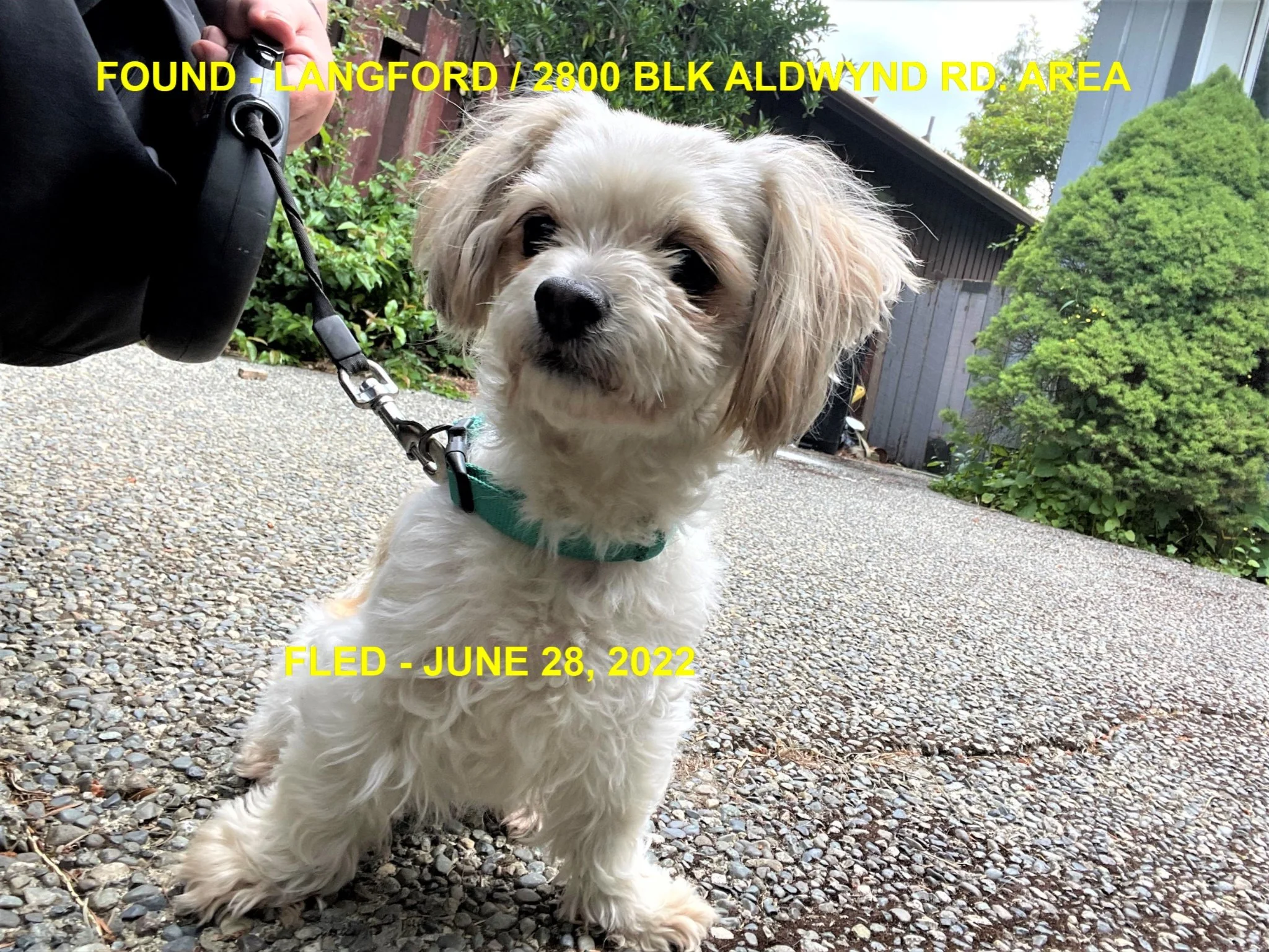 HAPPY ENDINGS - LANGFORD BC. / JUNE 28, 2022