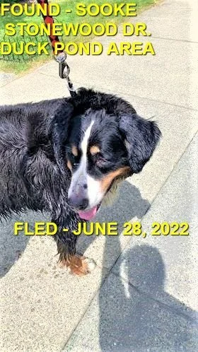 HAPPY ENDINGS - SOOKE BC. /  JUNE 28, 2022