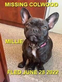 HAPPY ENDINGS - COLWOOD BC. / MILLIE / JUNE 28, 2022