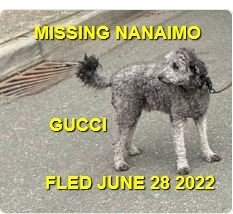 HAPPY ENDINGS - NANAIMO BC. / GUCCI / JUNE 27, 2022