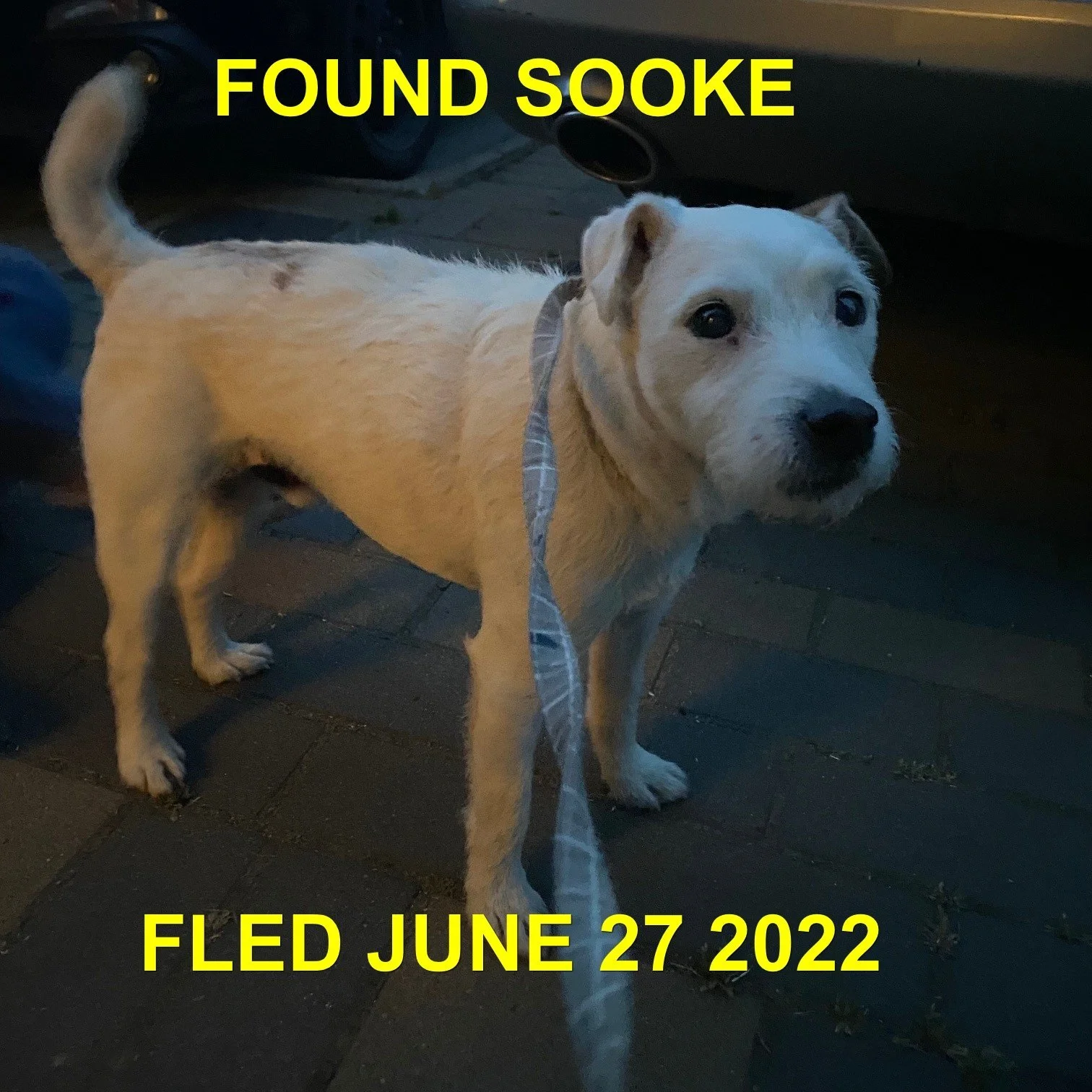 HAPPY ENDINGS - SOOKE BC. / MAX / JUNE 27, 2022