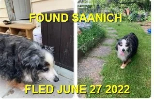 HAPPY ENDINGS - SAANICH BC. / JUNE 27, 2022