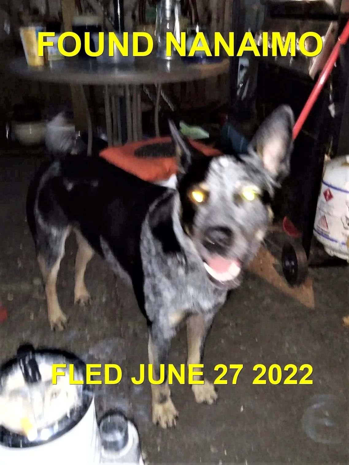 GONE TO SHELTER / HAPPY ENDINGS - NANAIMO BC. / JUNE 26, 2022