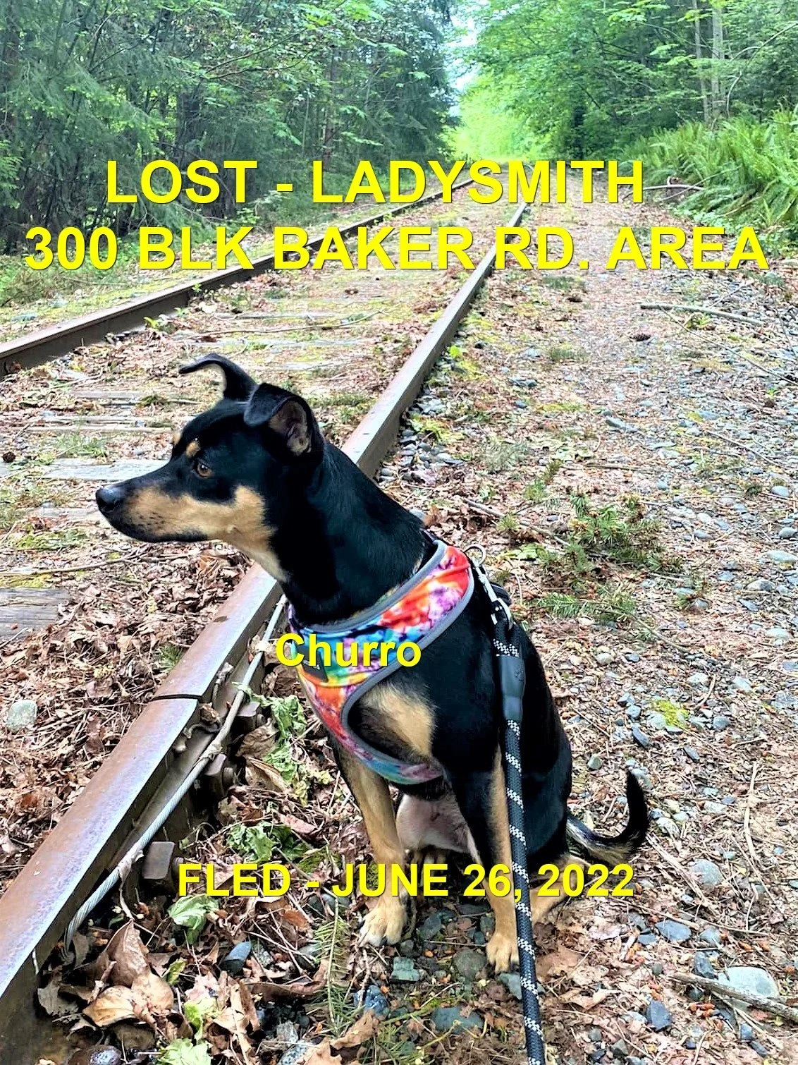 HAPPY ENDINGS - LADYSMITH BC. / CHURRO / JUNE 26, 2022