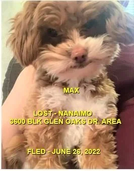 HAPPY ENDINGS - NANAIMO BC (NEW RESCUE) / MAX / JUNE 26, 2022