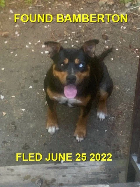 HAPPY ENDINGS - BAMBERTON BC (MALAHAT) / JUNE 25, 2022