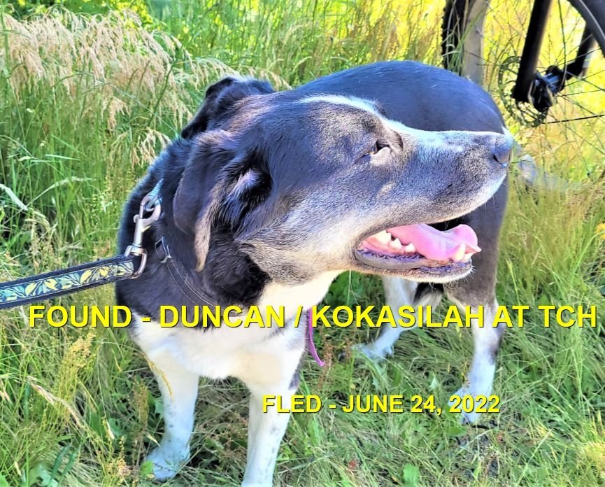 GONE TO SHELTER / HAPPY ENDINGS - DUNCAN BC. / JUNE 24, 2022