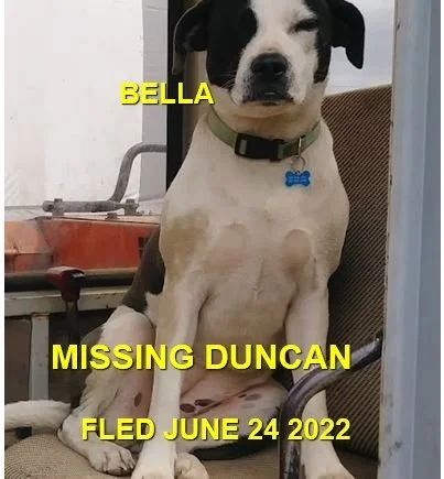 HAPPY ENDINGS - DUNCAN BC. / BELLA / JUNE 24, 2022