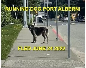 UNRESOLVED - PORT ALBERNI BC. / JUNE 24, 2022