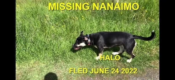 HAPPY ENDINGS - NANAIMO BC. / HALO / JUNE 24, 2022