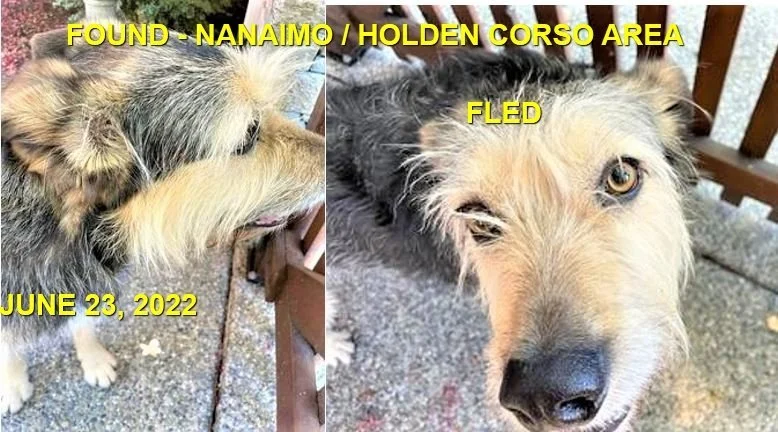 HAPPY ENDINGS - NANAIMO / JUNE 23, 2022